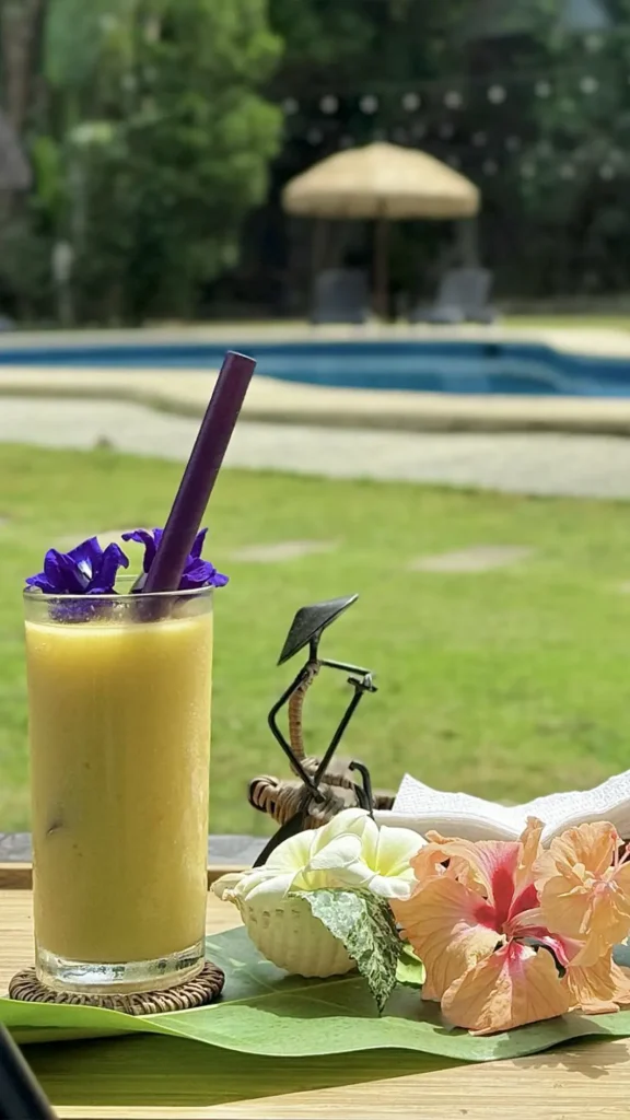 Maritoni Bali Suites & Villas